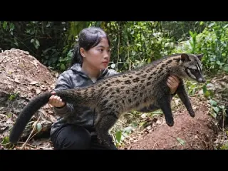 detecting signs of wildlife and quickly setting live traps