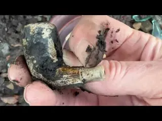 The Foreshore is Eroding and Exposing all the Treasures