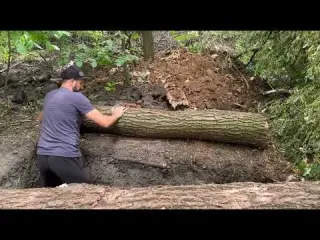 Building of a secret dugout under a fallen tree