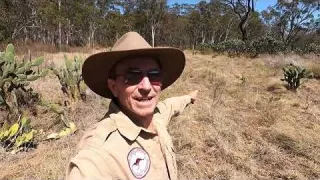 Metal Detecting 1860s Gold Camp Victorian Era Relics