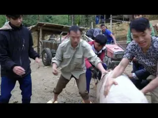 245 Build a chicken coop alone sell two pigs build a farm