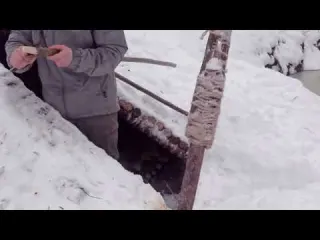 Alone in a Deadly Blizzard With My Dog in Hidden Snow