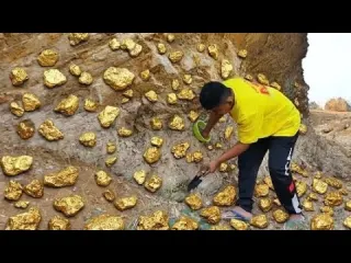 Unbelievable Discovery Digging Up Raw Gold Nuggets in the