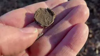 So RARE I ve Only Found TWO Metal Detecting a COLONIAL SITE