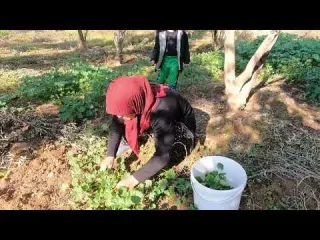 Annemin Evi Yeni Sıcak Soba Yemeği Vazgeçilmez Akşam Yemeği