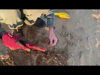 12 hodin v Bibione Pláž v Bibione s detektorem kovů