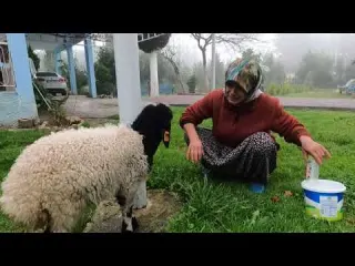 ANNEM KÖY EVİ GELİN EVİ DEĞERLİ EŞYASI KEND SABAHI ASMR