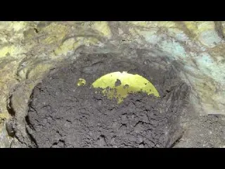 5 maiores tesouros encontrados em bolsas 2021 Ginho da Selva