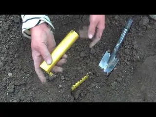 Lost Treasure Found at the Bottom of the Sea Metal