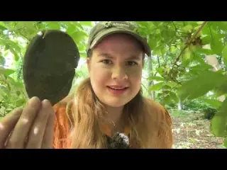 Treasure Hunting Obstacle Course Searching for Historic