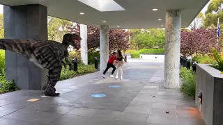 JALALS PRANK COMPILATION