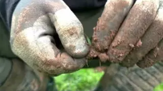 SCHATZSUCHE Alte Funde auf der Wiese mit dem Metalldetektor