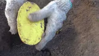 Discovered a great treasure under the dry fish pond made a