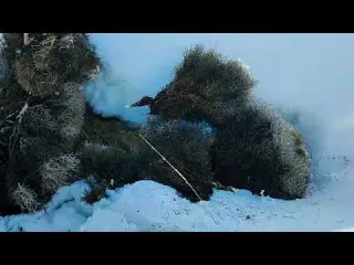 Alone on the icy mountain I and my dog build a snow covered