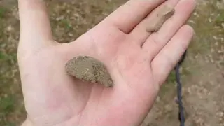 Secret Spot Reveals Strange Finds Metal Detecting