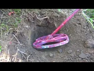 The young man searched for the treasure in the wild and
