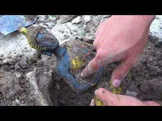 Unexpectedly discovering treasure the wilderness