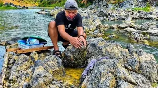 Gold Panning Digging Under a Large Boulder