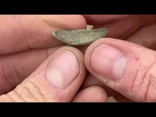 PACKED WITH FINDS You Won t Believe This Field