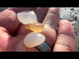 August