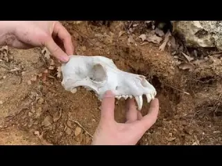 METAL DETECTİNG REAL TREASURE HUNT