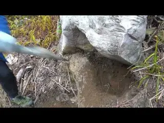 The boy searched for treasure in the wild and found two