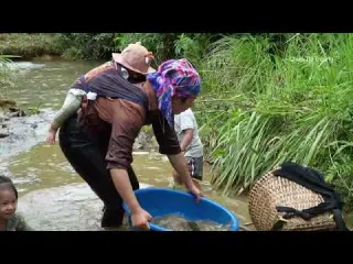 Impossible Catch Giant Stream Fish Mission using Primitive