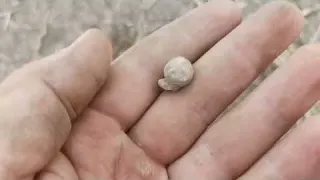 Parádní knofl a jiné lahůdky