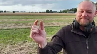 Detektor king Song