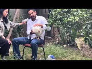 El inicio de una granja que da rentabilidad historia