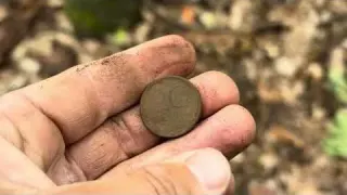 METALLDETEKTOR entdeckt VERGRABENE DINGE im Wald Schatzsuche