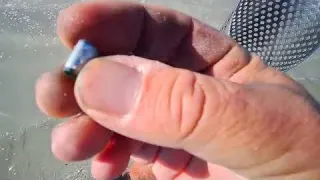 Metal Detecting Beaches beachmetaldetecting