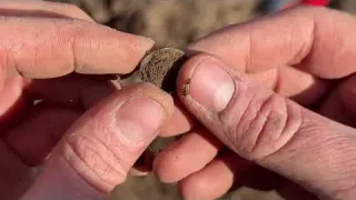 1 900 YEARS of HISTORY in ONE FIELD Metal Detecting Scotland