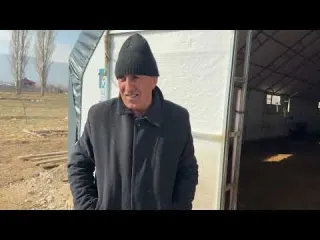 KOYUNDA KIRIK AYAK TEDAVİSİ CESUR VE KUZULAR