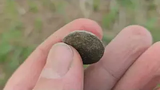 DETECTORMANIA 2026 Lothian Relics Digs Hammered and Roman