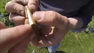 Détection De Métaux L Or Sonne Toujours 3 Fois superbe
