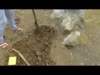 A big snake popped out of the treasure bottle and almost