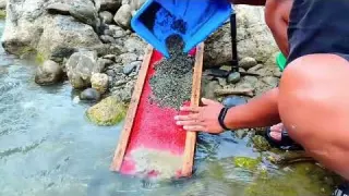 Gold Panning Using a Sluice Box Digging Beneath River Rocks