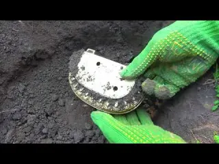 How to find hidden metal objects in the park