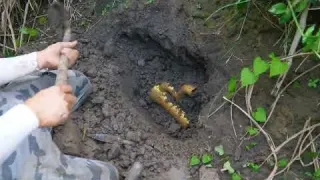 Find a treasure gathering place in the wilderness and make