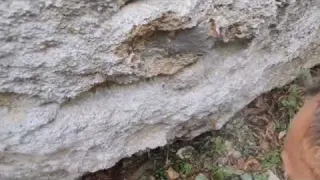 Üçgen Define İşaretini Çözdüm Bana Kaya Kasası Açtırdı
