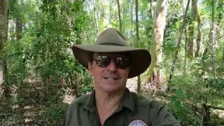 From the Outback to the Jungle Victorian Relic Hunt