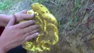 Wild Treasure Hunt Victory Journey Metal Detector is My