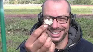 Sauver des chevaux grâce à des détecteurs