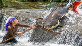 giant catfish carp with DIY fish trap for sale with family