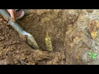 Explorer s Paradise Searching for 50 Treasures with Metal