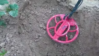 The charm of treasure hunting is infinite the metal