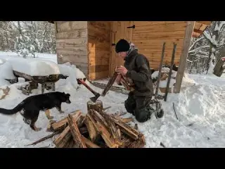winter bushcraft in severe frost with a dog night in the