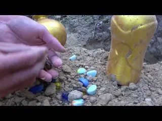 Searching for the Dream of Gold Metal Detector Takes You