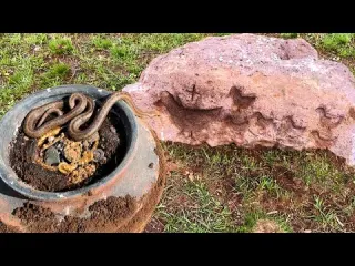 Yılanların Koruduğu Defineler Gün Yüzüne Çıkıyor